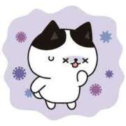 ヒメ日記 2025/02/03 13:47 投稿 みや ダンシングおっぱいTEAM爆