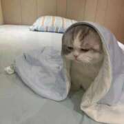 ヒメ日記 2024/12/22 12:41 投稿 いろは ギン妻パラダイス 堺東店