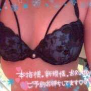 ヒメ日記 2025/04/30 14:02 投稿 いろは ギン妻パラダイス 堺東店