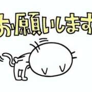 ヒメ日記 2025/06/03 17:01 投稿 いろは ギン妻パラダイス 堺東店