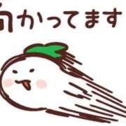 ヒメ日記 2025/08/19 12:16 投稿 いろは ギン妻パラダイス 堺東店