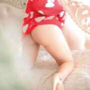 ヒメ日記 2025/04/09 16:00 投稿 メイサ バニーコレクション新潟店