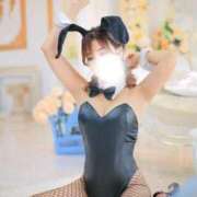 ヒメ日記 2025/07/03 07:00 投稿 メイサ バニーコレクション新潟店