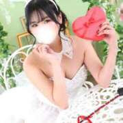 ヒメ日記 2025/12/10 18:01 投稿 メイサ バニーコレクション新潟店