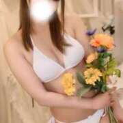 ヒメ日記 2025/12/13 11:27 投稿 メイサ バニーコレクション新潟店