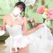 ヒメ日記 2026/02/02 13:00 投稿 メイサ バニーコレクション新潟店