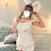 メイサ ご報告 バニーコレクション新潟店