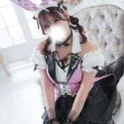 ヒメ日記 2026/04/01 12:16 投稿 メイサ バニーコレクション新潟店