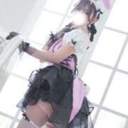 ヒメ日記 2026/04/04 17:01 投稿 メイサ バニーコレクション新潟店