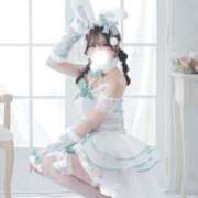 メイサ 美容DAY バニーコレクション新潟店