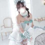 メイサ ようやく バニーコレクション新潟店