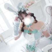 メイサ おやすみ バニーコレクション新潟店