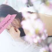 ヒメ日記 2025/04/01 07:41 投稿 東條 藍桜 横浜貴楼館