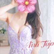 ヒメ日記 2024/12/12 21:21 投稿 東條 藍桜 東京貴楼館