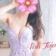 ヒメ日記 2024/12/17 17:21 投稿 東條 藍桜 東京貴楼館