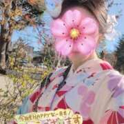 ヒメ日記 2024/12/30 08:21 投稿 東條 藍桜 東京貴楼館