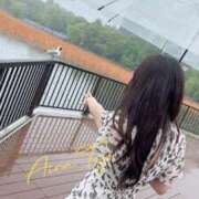 ヒメ日記 2025/06/03 07:33 投稿 東條 藍桜 東京貴楼館