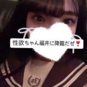 ヒメ日記 2025/02/05 19:28 投稿 よくちゃん チューリップ福井本館