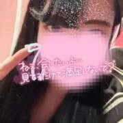 ヒメ日記 2025/02/12 09:40 投稿 よくちゃん チューリップ福井本館