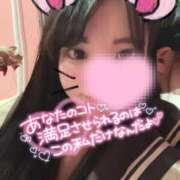 ヒメ日記 2025/02/13 12:28 投稿 よくちゃん チューリップ福井本館