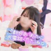 ヒメ日記 2025/02/14 09:04 投稿 よくちゃん チューリップ福井本館