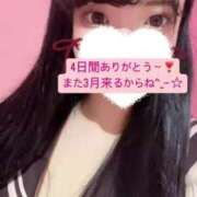 ヒメ日記 2025/02/18 19:14 投稿 よくちゃん チューリップ福井本館