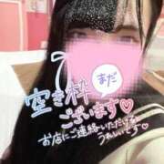 ヒメ日記 2025/02/11 14:19 投稿 よくちゃん チューリップ福井別館