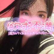 ヒメ日記 2025/02/12 21:28 投稿 よくちゃん チューリップ福井別館