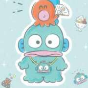 ヒメ日記 2025/02/24 08:17 投稿 あかね フェアリー【都城店】