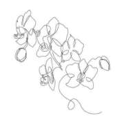 ヒメ日記 2025/03/08 23:57 投稿 あかね フェアリー【都城店】