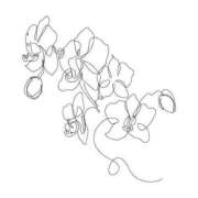 ヒメ日記 2025/03/15 11:17 投稿 あかね フェアリー【都城店】