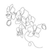 ヒメ日記 2025/03/29 14:17 投稿 あかね フェアリー【都城店】