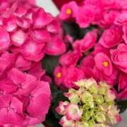 ヒメ日記 2025/05/11 17:27 投稿 あかね フェアリー【都城店】