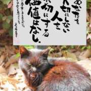 ヒメ日記 2025/05/12 08:07 投稿 あかね フェアリー【都城店】