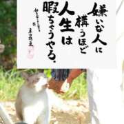 ヒメ日記 2025/05/26 08:07 投稿 あかね フェアリー【都城店】