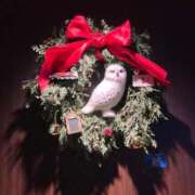 ヒメ日記 2025/12/25 20:08 投稿 さき 動画が無料で撮れるんデス♡ Office Love　町田店（Loveグループ）