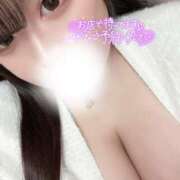 ヒメ日記 2025/03/24 19:32 投稿 せいら 東京巨乳デリヘル おっぱいマート