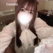 ヒメ日記 2024/12/29 12:51 投稿 白咲このは 多恋人倶楽部