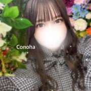 ヒメ日記 2024/12/29 20:16 投稿 白咲このは 多恋人倶楽部