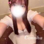 ヒメ日記 2025/03/14 07:51 投稿 白咲このは 多恋人倶楽部