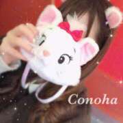 ヒメ日記 2025/03/29 11:07 投稿 白咲このは 多恋人倶楽部