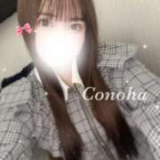 ヒメ日記 2025/04/07 23:27 投稿 白咲このは 多恋人倶楽部