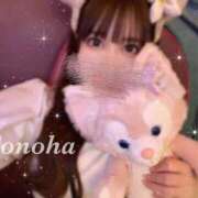 ヒメ日記 2025/04/12 15:50 投稿 白咲このは 多恋人倶楽部