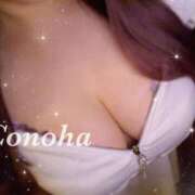 ヒメ日記 2025/04/19 07:57 投稿 白咲このは 多恋人倶楽部