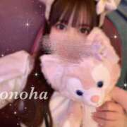 ヒメ日記 2025/09/16 08:33 投稿 白咲このは 多恋人倶楽部