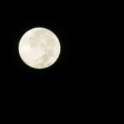 ヒメ日記 2025/03/12 23:45 投稿 みずき バニラリップ