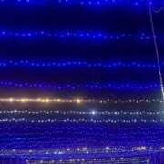 ヒメ日記 2025/03/13 21:01 投稿 みずき バニラリップ