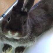 ヒメ日記 2025/03/21 08:41 投稿 かやの 熟女の風俗アウトレット 岐阜岐南店