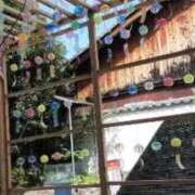 ヒメ日記 2025/09/02 23:41 投稿 かやの 熟女の風俗アウトレット 岐阜岐南店