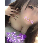 ヒメ日記 2025/04/16 15:11 投稿 れいな 僕らのぽっちゃリーノin大宮